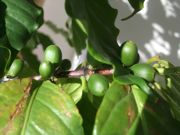 ファイル 1695-1.jpg