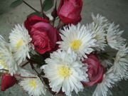 ファイル 1699-1.jpg