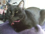 ファイル 1700-3.jpg