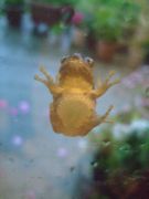 ファイル 1702-2.jpg