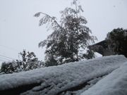 ファイル 1708-2.jpg