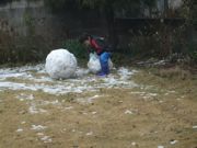 ファイル 1709-3.jpg