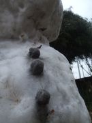 ファイル 1709-5.jpg