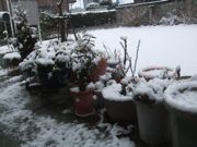 ファイル 1712-1.jpg