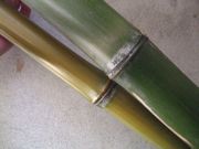 ファイル 1715-1.jpg