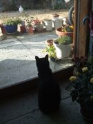 ファイル 1718-1.jpg