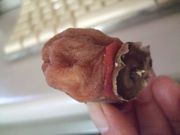 ファイル 1719-1.jpg