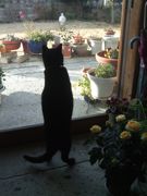 ファイル 1720-2.jpg