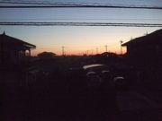 ファイル 1721-1.jpg