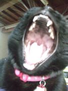 ファイル 1728-1.jpg