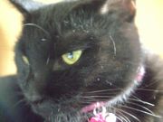 ファイル 1731-1.jpg