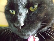 ファイル 1731-3.jpg