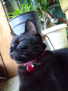 ファイル 1731-4.jpg