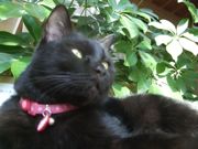 ファイル 1745-1.jpg