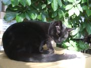 ファイル 1745-3.jpg