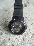 ファイル 1747-1.jpg