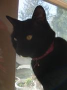 ファイル 1747-2.jpg