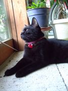 ファイル 1747-3.jpg