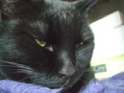 ファイル 1747-4.jpg