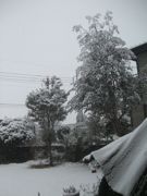 ファイル 1748-1.jpg