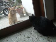 ファイル 1756-1.jpg