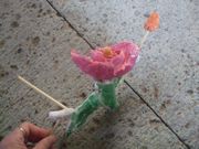 ファイル 1769-1.jpg