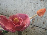 ファイル 1769-2.jpg