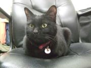 ファイル 1773-1.jpg