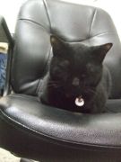 ファイル 1776-2.jpg