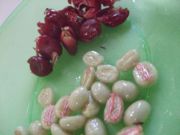 ファイル 1778-1.jpg