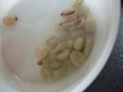 ファイル 1778-2.jpg