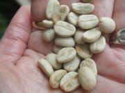 ファイル 1786-1.jpg