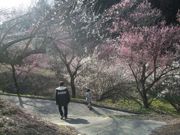 ファイル 1788-1.jpg