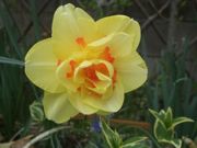 ファイル 1795-2.jpg