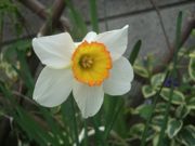 ファイル 1795-3.jpg