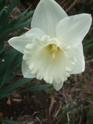 ファイル 1795-5.jpg