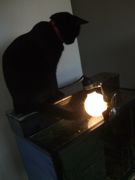 ファイル 1801-1.jpg