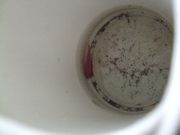 ファイル 1808-1.jpg