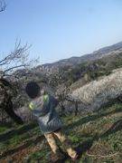 ファイル 1811-1.jpg