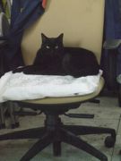 ファイル 1827-1.jpg