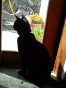 ファイル 1840-1.jpg