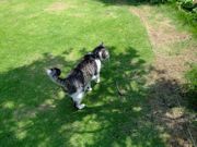 ファイル 1840-2.jpg