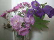 ファイル 1846-1.jpg