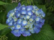 ファイル 1856-3.jpg