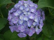 ファイル 1857-3.jpg