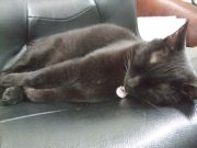 ファイル 1862-1.jpg