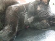 ファイル 1862-3.jpg