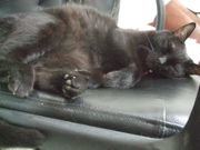 ファイル 1862-4.jpg