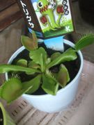 ファイル 1869-2.jpg