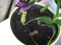 ファイル 1869-3.jpg